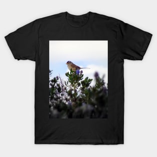 White crowned sparrow in a blue blossom Ceanothus Thyrsiflorus bush 2 T-Shirt